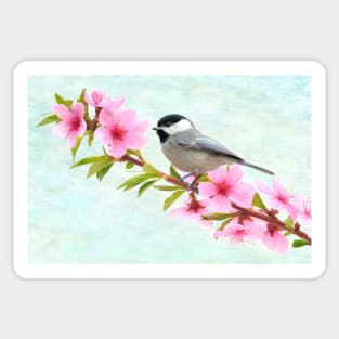 Chickadee and Peach Blossoms Sticker